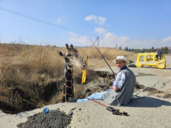 Giraffe-in -a-pothole